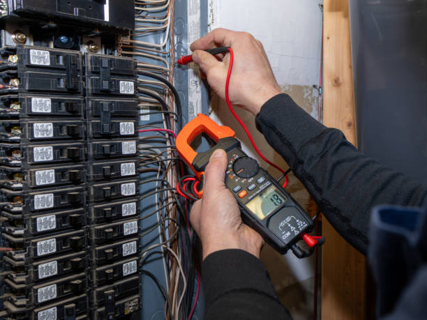 Best Affordable Emergency Electrician  in Woodland Beach, MI